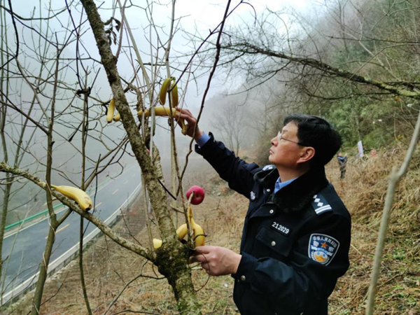 【原創】重慶：助力生態文明建設 城口縣“一村一警”落地生根_fororder_圖片2