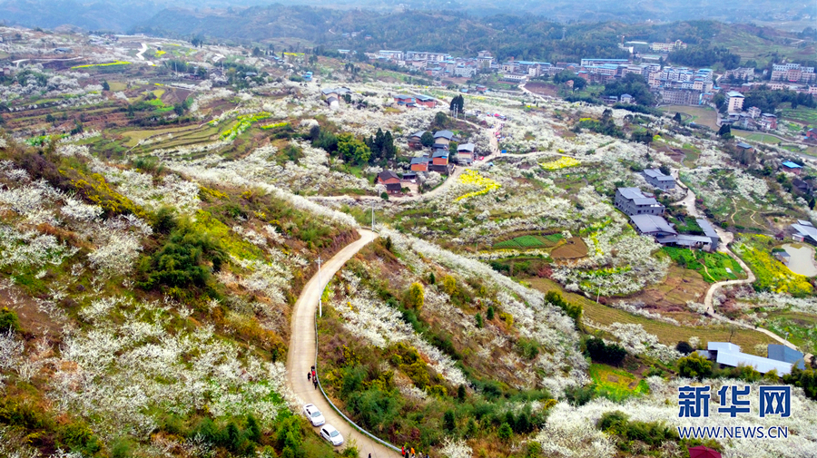 【城市遠洋】三月山城春光好 梁平賞花正當時