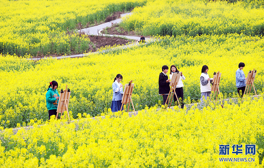 【城市遠洋】三月山城春光好 梁平賞花正當時