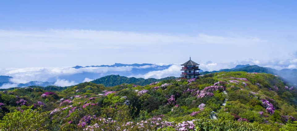 【B】重慶南川：第十二屆金佛山國際旅遊文化節暨杜鵑花節開幕_fororder_圖片3