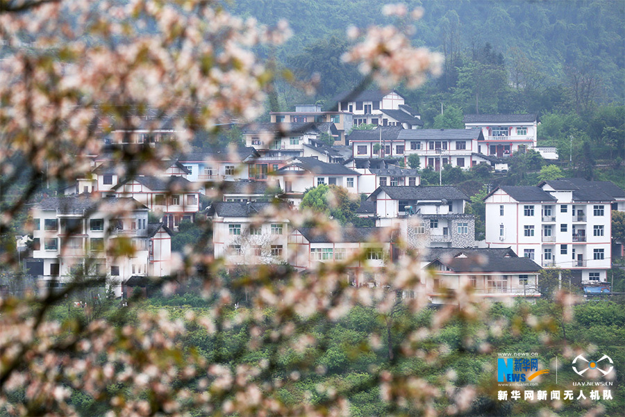 【城市遠洋帶圖】古寨變景區 重慶600年土家院落的逆襲