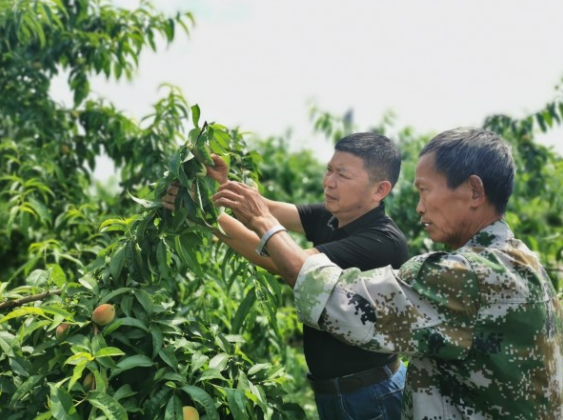 【原創】重慶市銅梁區：科技特派員入村興農 助力鄉村振興_fororder_微信圖片_20210520103231