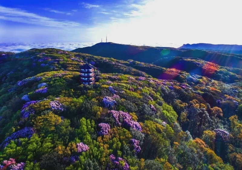 【轉載】世界遺産名山（金佛山）峰會期間 金佛山免費遊