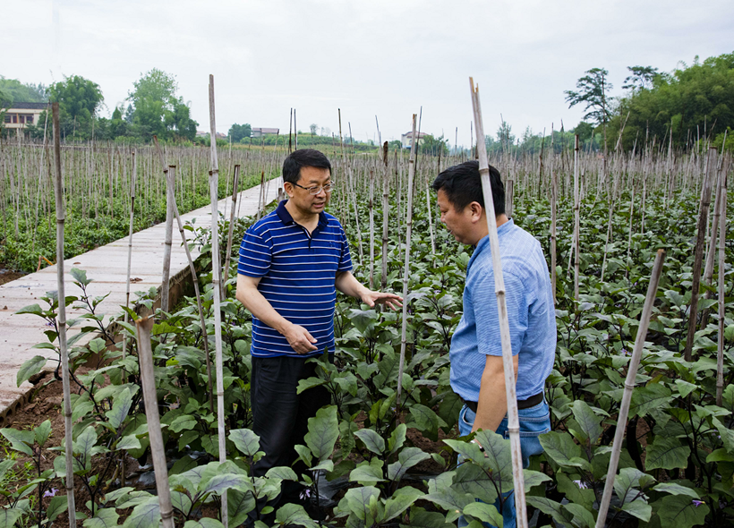 （轉載）重慶銅梁：四方英才聚 夯築強區路