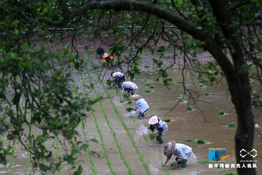 【城市遠洋】渝湘高速穿過重慶傳統村落