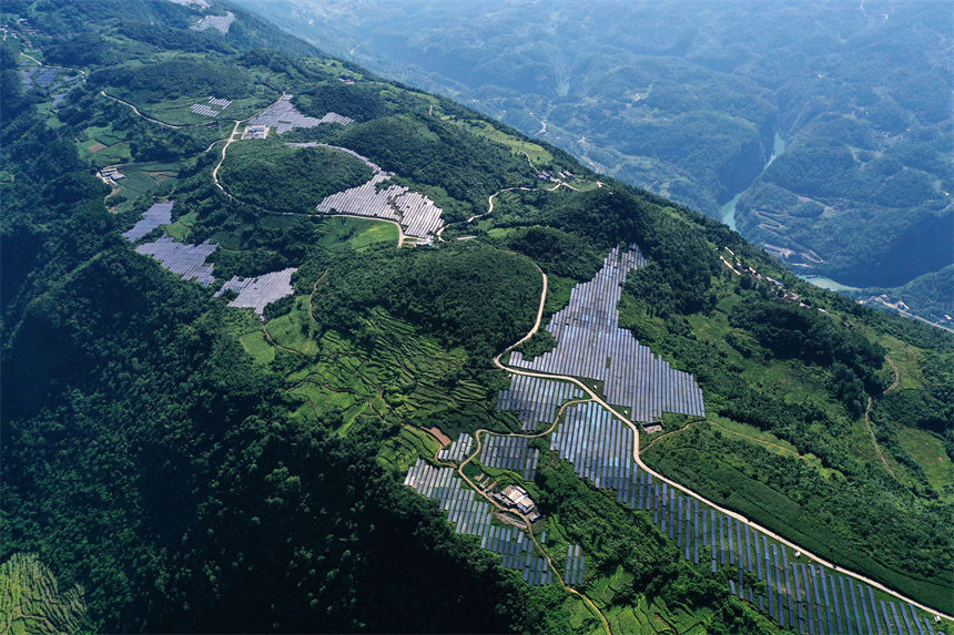 重慶黔江：高山“光伏梯田”美如畫