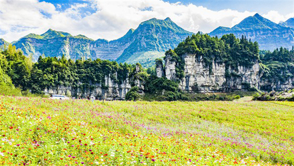 【城市遠洋帶圖】南川：疊石成山萬卷書 粉黛花海觀碧湖