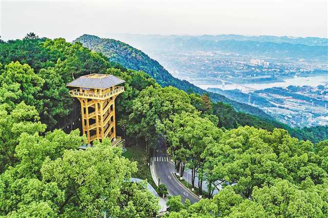 【城市遠洋帶圖】綠色化 讓重慶主城都市區底色更美