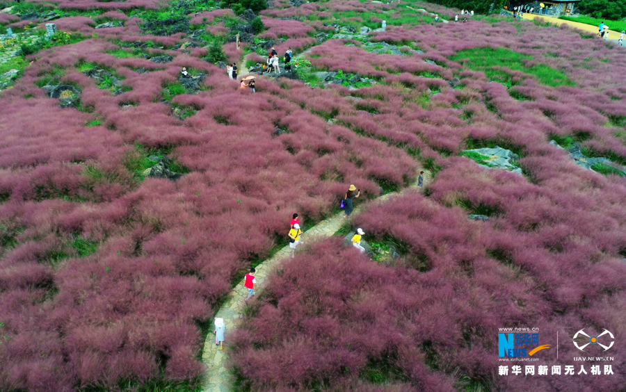 【城市遠洋】重慶：武陵山區生態旅遊“顯山露水”