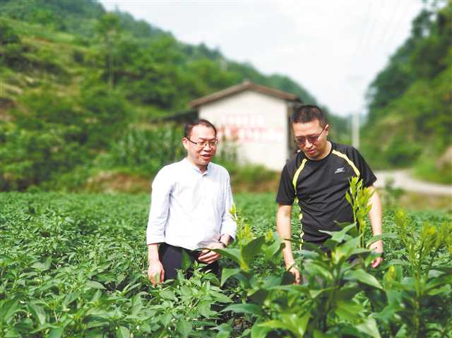 決戰決勝脫貧攻堅丨直播扶貧故事 詮釋政協擔當