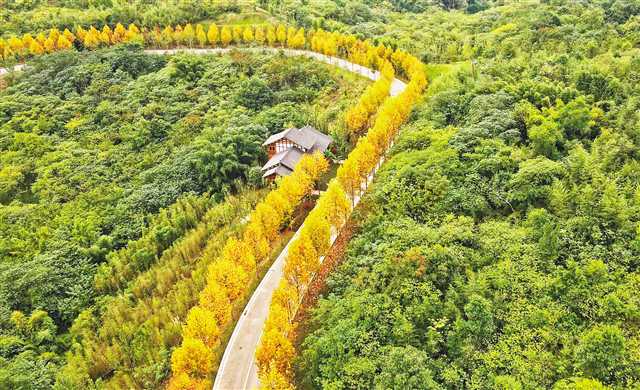 重慶廣陽島初冬景色美