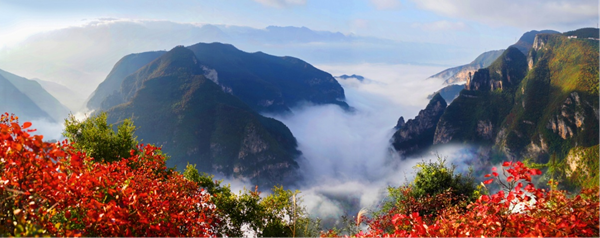 【原創】重慶巫山推出12條紅葉觀賞線路_fororder_圖片2