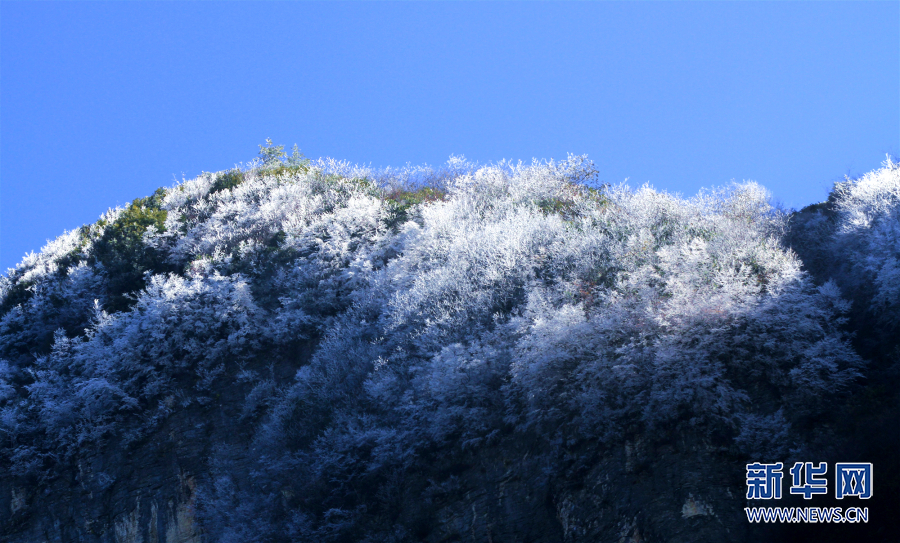 巫山：當純白遇上楓紅 巫峽之巔現霧凇奇觀