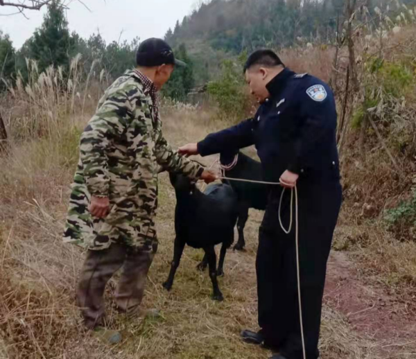 【原創】重慶萬州民警幫助群眾尋回走失山羊_fororder_圖片1(1)