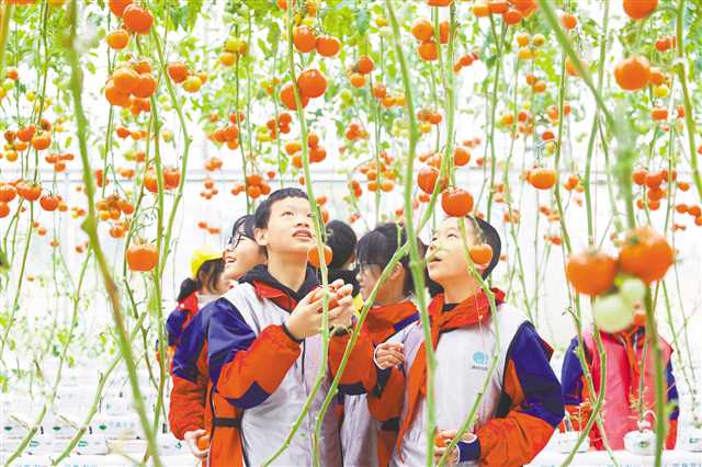 重慶梁平：發展智慧農業 助力鄉村旅遊