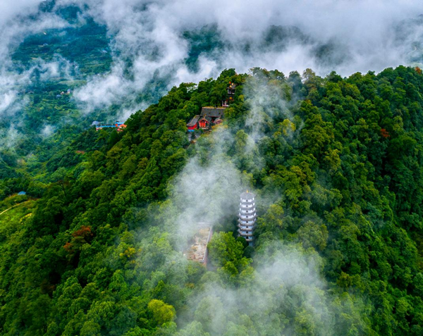 【原創】重慶巴南聖燈山鎮：抓基層治理促平安建設 共建共享美麗家園_fororder_圖片2