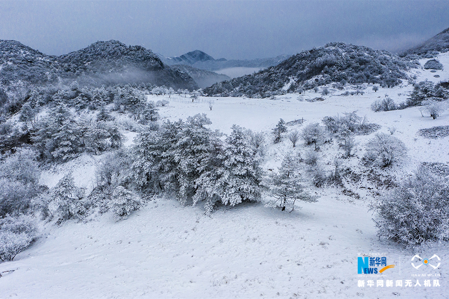 【城市遠洋帶圖】重慶巫溪：冰雪奇緣秘境紅池 這裡的雪過分美麗