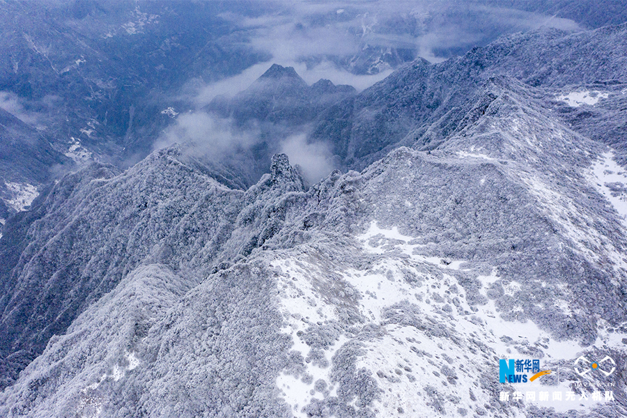 【城市遠洋帶圖】重慶巫溪：冰雪奇緣秘境紅池 這裡的雪過分美麗