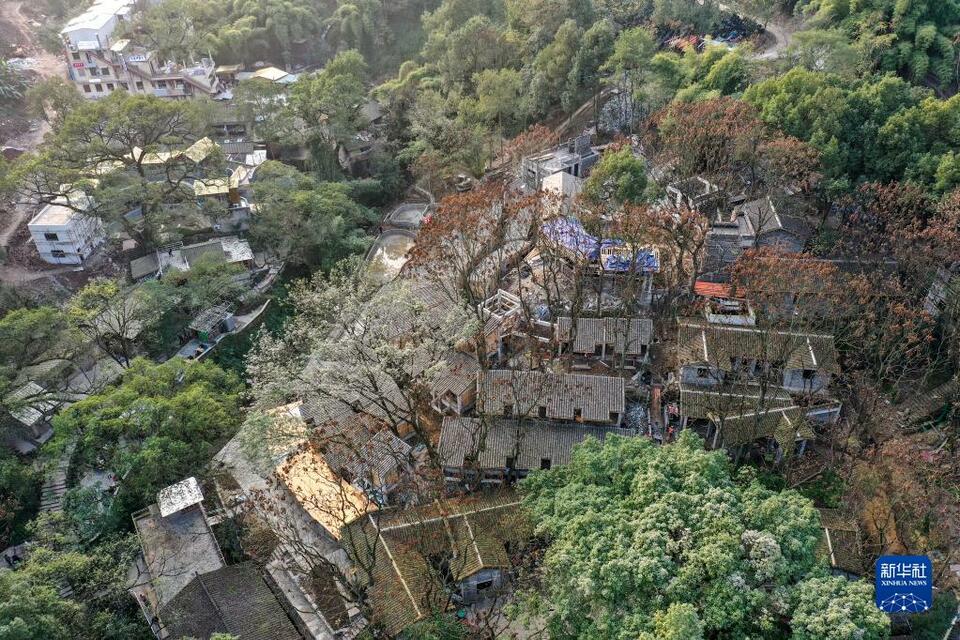 【城市遠洋】重慶北碚：金剛碑古村落開啟開街測試運營