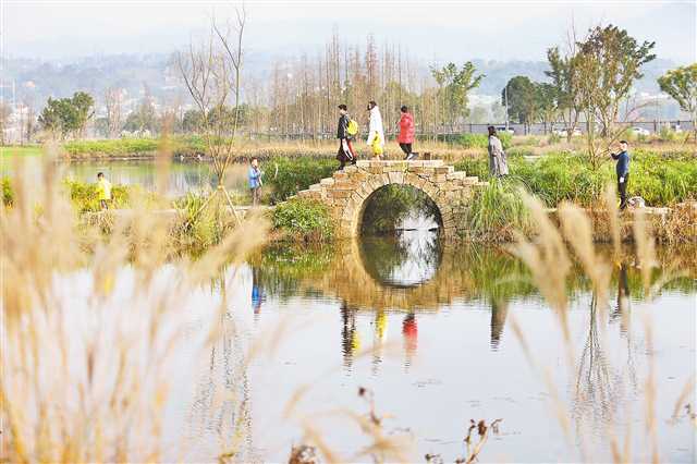 【城市遠洋】重慶廣陽灣精心繪製現代巴渝版“富春山居圖”