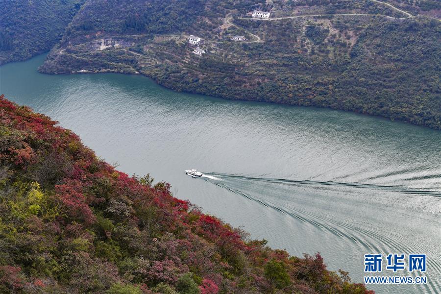 【聚焦重慶】待到滿山紅葉時 ——三峽重慶庫區踐行新發展理念面面觀