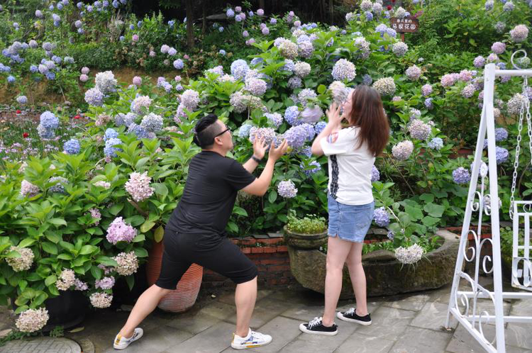 【推英文網】【B】摘藍莓、賞繡球花、開卡丁車 外國友人感受重慶鄉村之美