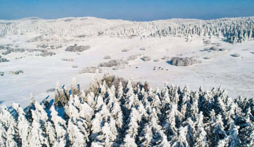 【原創】重慶武隆：全區聯動連夜除雪 各景區暢通無阻_fororder_微信圖片_20220202132322