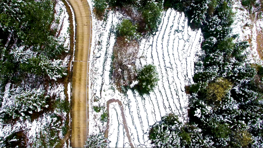 【城市遠洋】重慶萬州：春雪落山鄉 四野美如畫