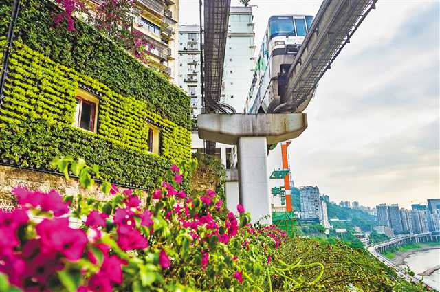 重慶：“開往春天的列車”景觀升級