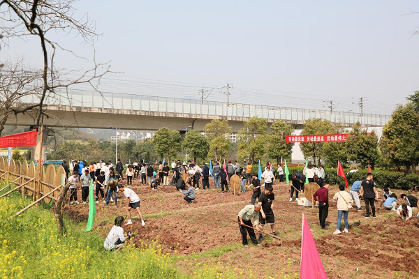 【原創】重慶水利電力職業技術學院開展大學生勞動實踐教育_fororder_圖片1