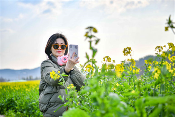 重慶南岸：廣陽島油菜花開美如畫