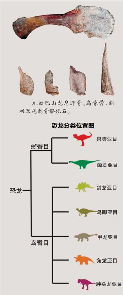 【城市遠洋】重慶雲陽發現亞洲最古老劍龍化石