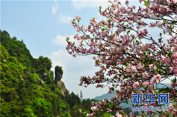 賞桃花、觀非遺、品美食 重慶石柱發佈九項春季旅遊活動