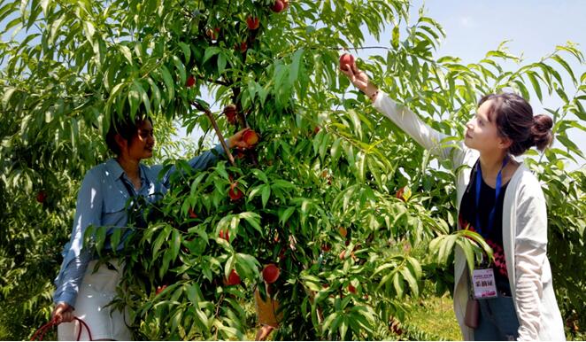 【城市遠洋】重慶：油菜花帶火的馬灌鎮又有了新目標