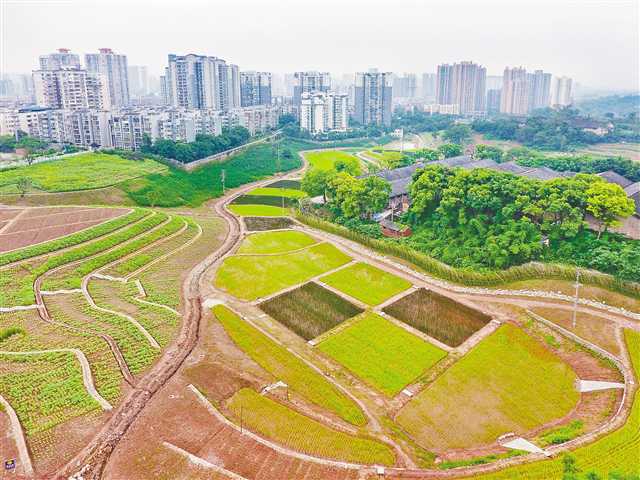 重慶首個城市田園試點項目預計10月投用