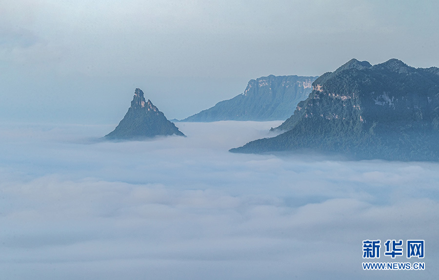 重慶：走進夏日金佛山 賞喀斯特雲霧風光