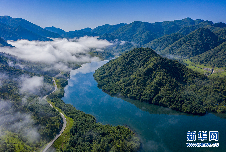 【“飛閱”中國】航拍夏日西流溪 山色青青羊群奔跑