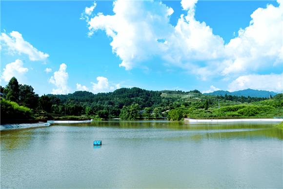 【轉載】重慶綦江：一片茶葉鋪就一條鄉村振興之路