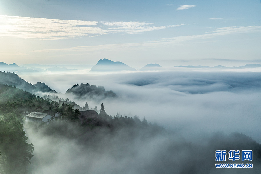 重慶：走進夏日金佛山 賞喀斯特雲霧風光