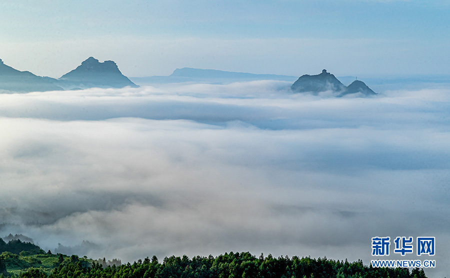 重慶：走進夏日金佛山 賞喀斯特雲霧風光