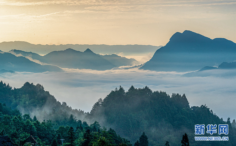 重慶：走進夏日金佛山 賞喀斯特雲霧風光