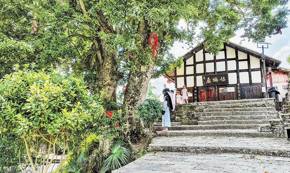 重慶酉陽兩罾鄉內口村獲評“中國千年金絲楠第一村”