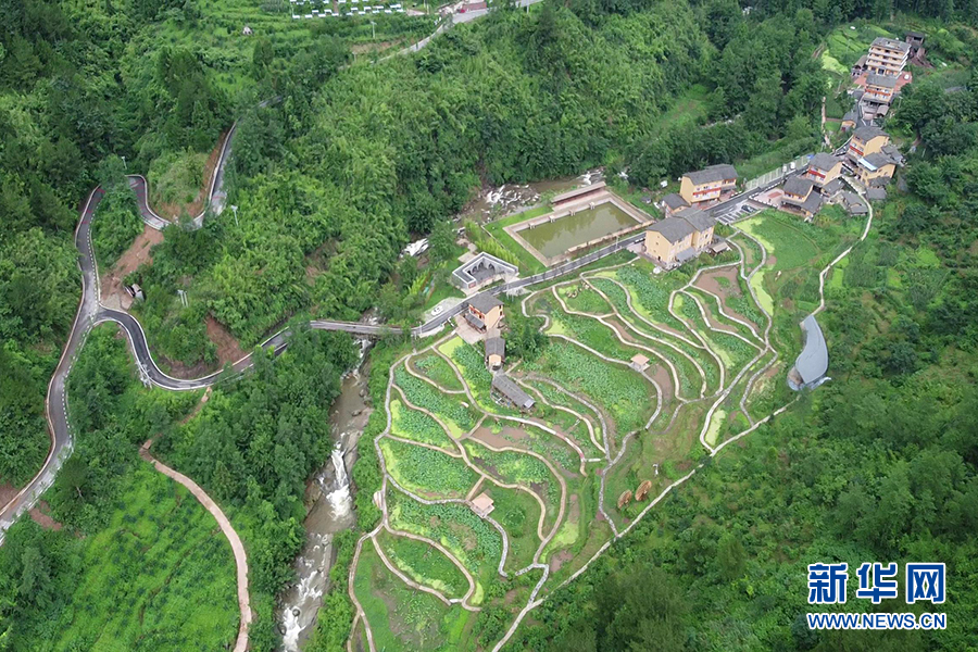 【你笑起來真好看】土家“陽光女孩”在大山裏修起“花園洋房”