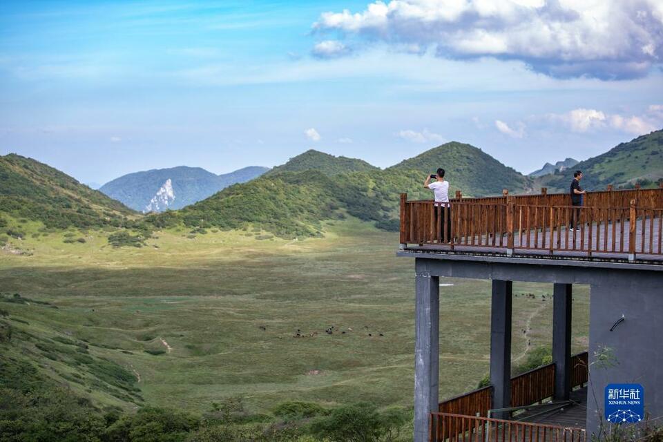 重慶巫溪：高山“避暑遊”受青睞