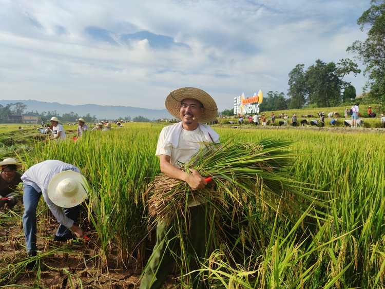 （有修改）【B】慶豐收 曬小康 重慶第三屆長江三峽（梁平）曬秋節正式啟幕