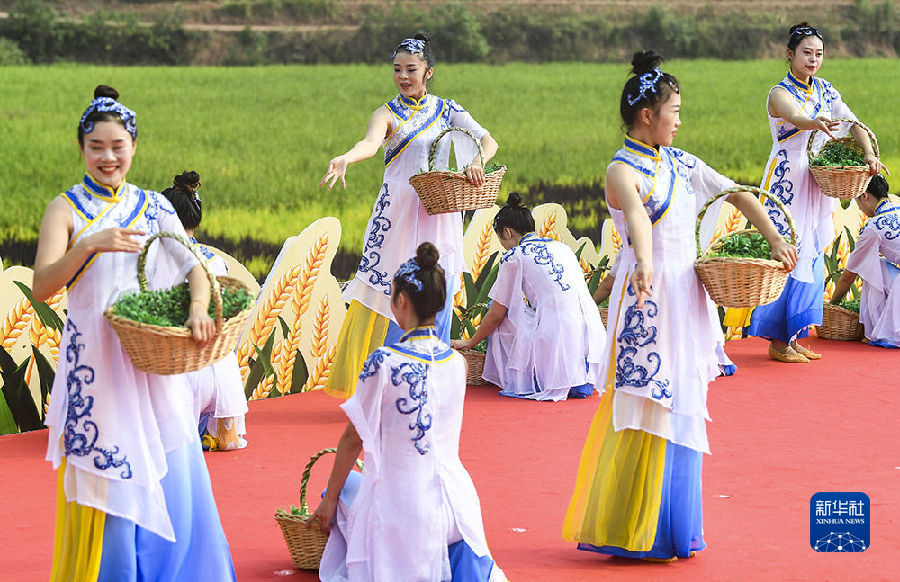 重慶永川舉辦慶祝豐收節活動