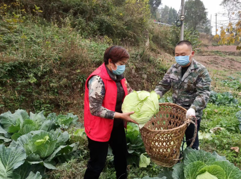 【原創】重慶巴南石灘鎮：讓滯銷蔬菜 “內循環”起來_fororder_微信圖片_20221122164352