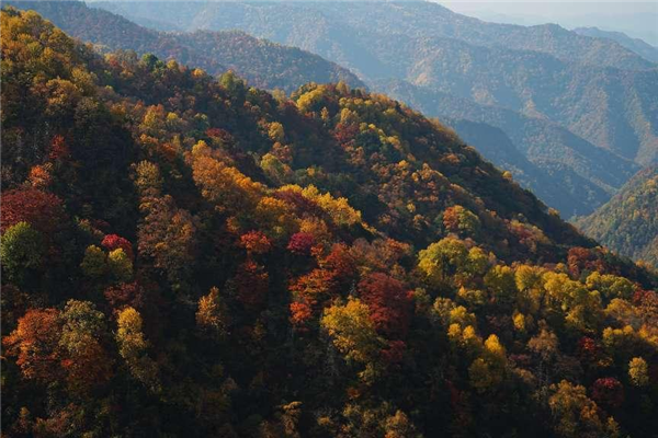 第十三屆中國大巴山重慶·城口彩葉文化旅遊節暨亢家寨景區西線試運營啟動儀式舉行_fororder_圖片2