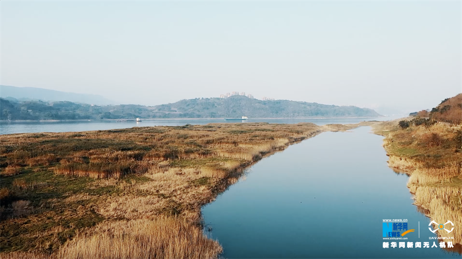 【城市遠洋帶圖】重慶廣陽島：江島初冬美如畫