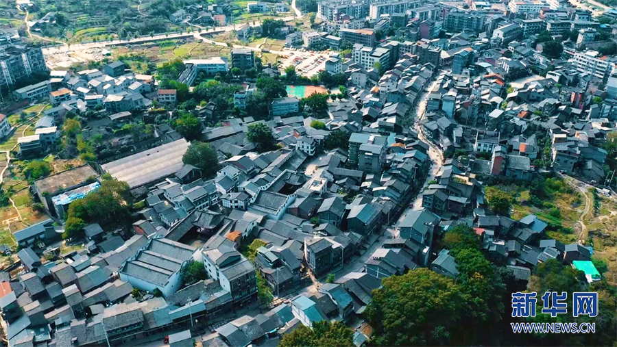 重慶：生態修復 荒地開“花”